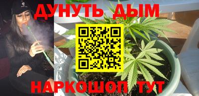 jwh Гатчина
