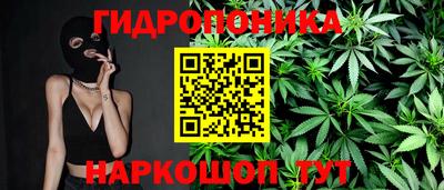 jwh Гатчина