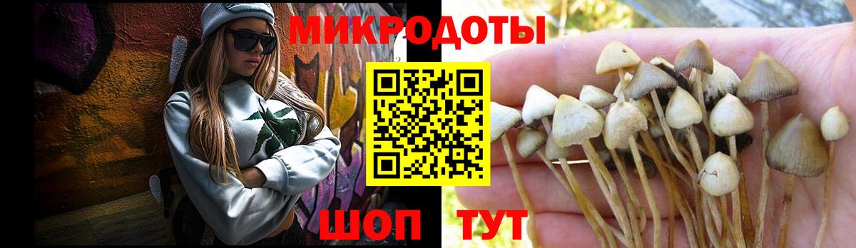 Галлюциногенные грибы ЛСД  Галлюциногенные грибы Psilocybine cubensis  Вход с VPN  Канаш 